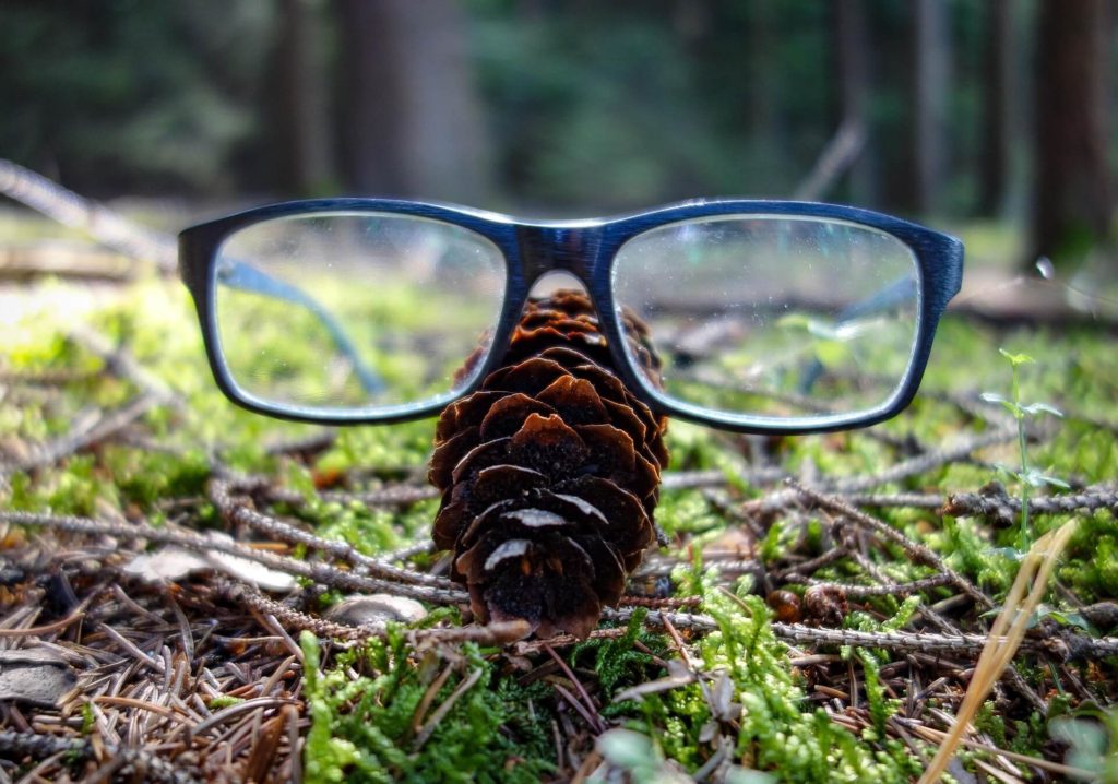 a pair of smudged eyeglasses on the ground in the forest