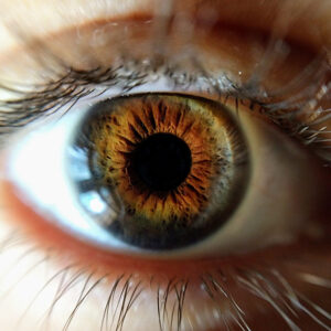 How Autoimmune Diseases Impact Eyesight
